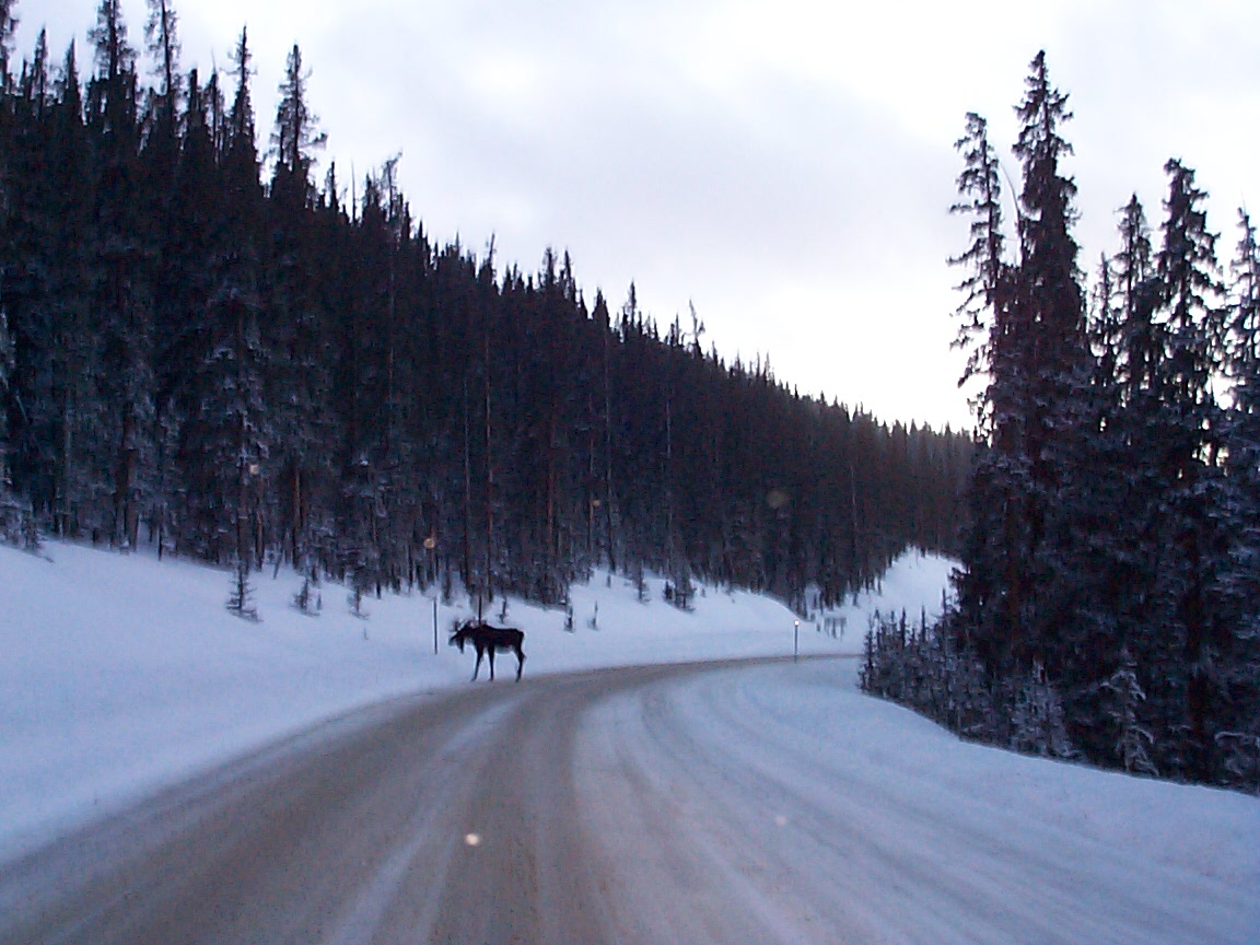 New Year's Day traffic, Slumgullion Summit Hwy 149